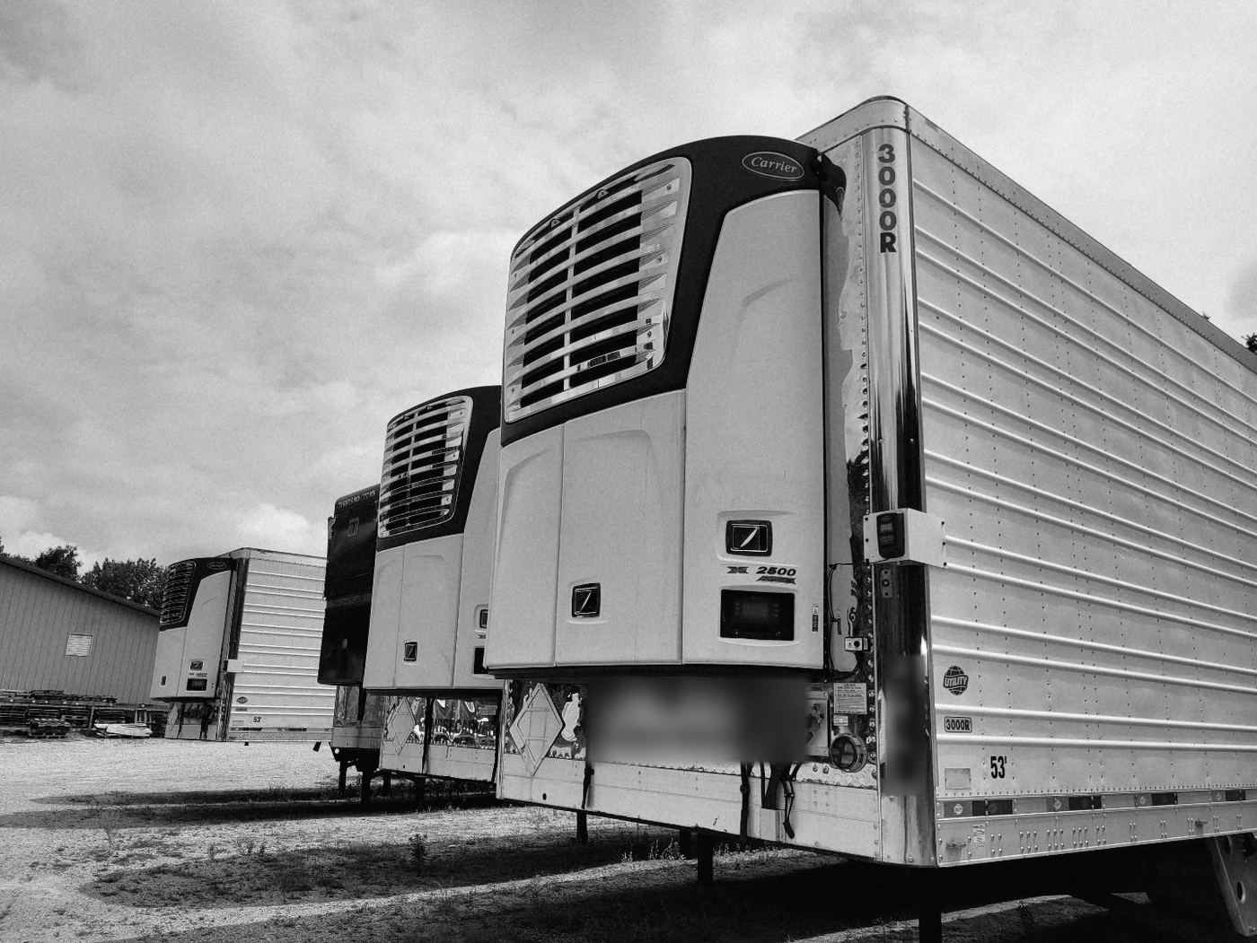 Black and white photo of a row of refrigerated trailers with Carrier reefer units